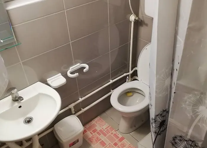 Sobe I Simic Apartment Ribarska Banja