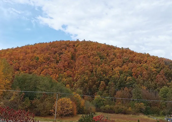 Apartment Sobe I Simic *